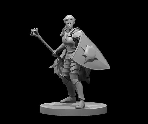 Elf female light cleric - light,