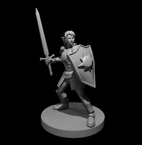 Elf light paladin - light, kite
